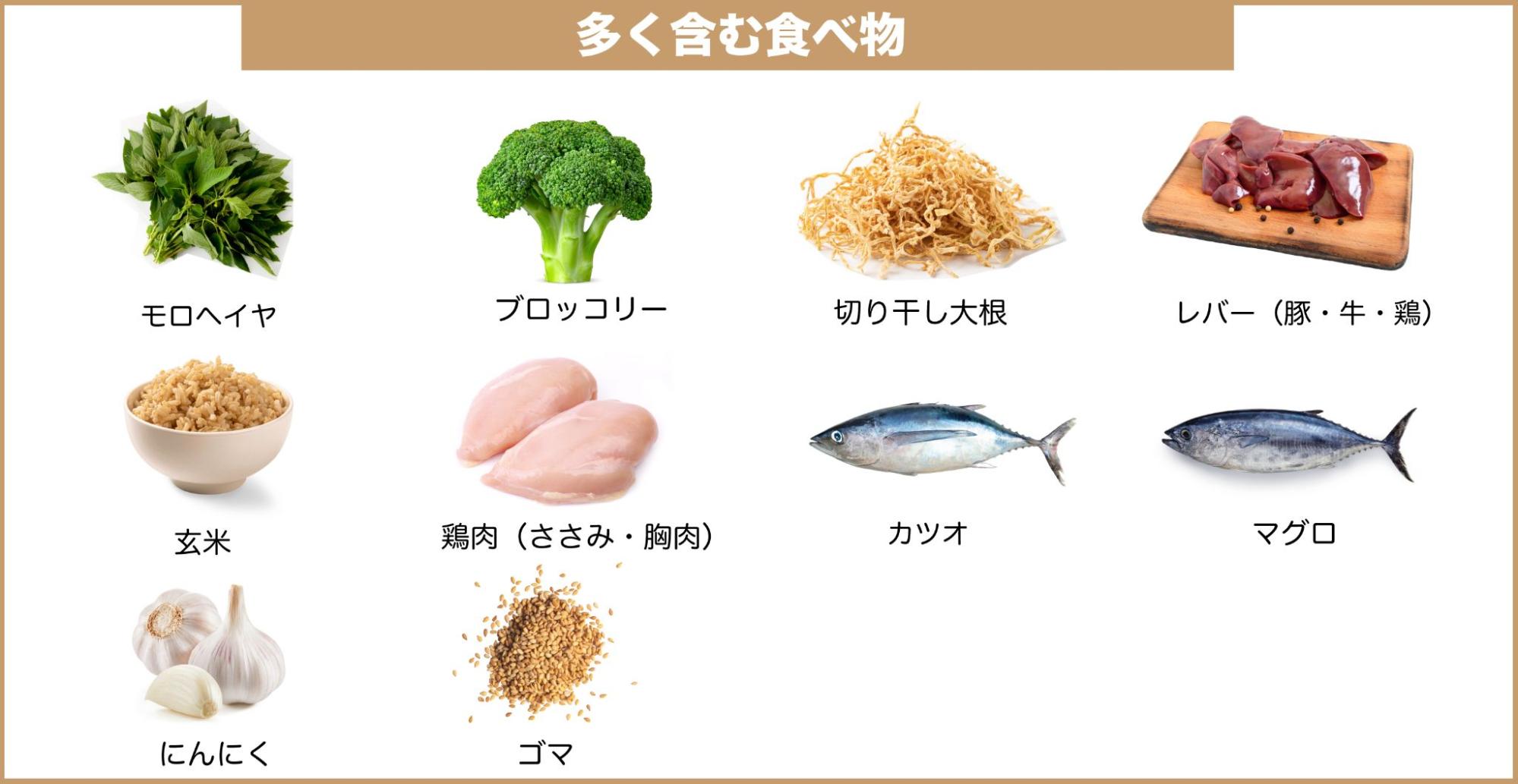 腸内環境を整えたい！効果のある食べ物や三種の菌とは？腸内環境改善のメリット｜わかもとラボ