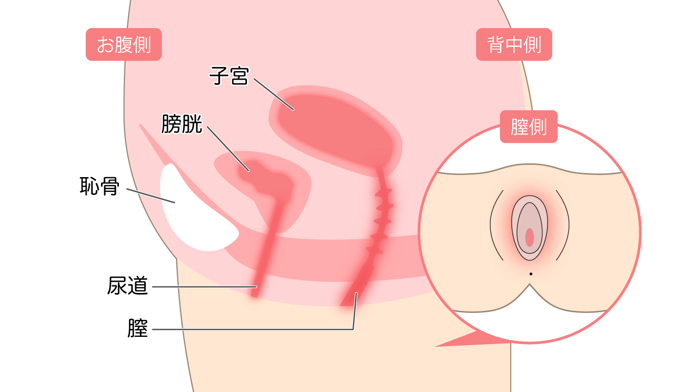 おりものが多いのはなぜ？