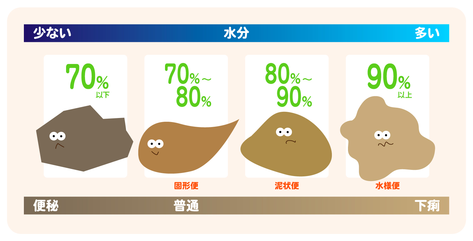 腸内フローラとは？腸内細菌の種類や働き・腸内環境を整えるメリットを解説！｜わかもとラボ