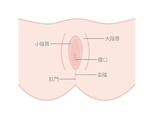 膣ケア・膣トレはデリケートゾーンの不調に効果的！初心者もできる基本方法｜wakanote