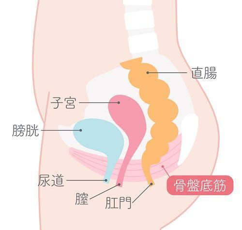 膣ケア・膣トレはデリケートゾーンの不調に効果的！初心者もできる基本方法｜wakanote