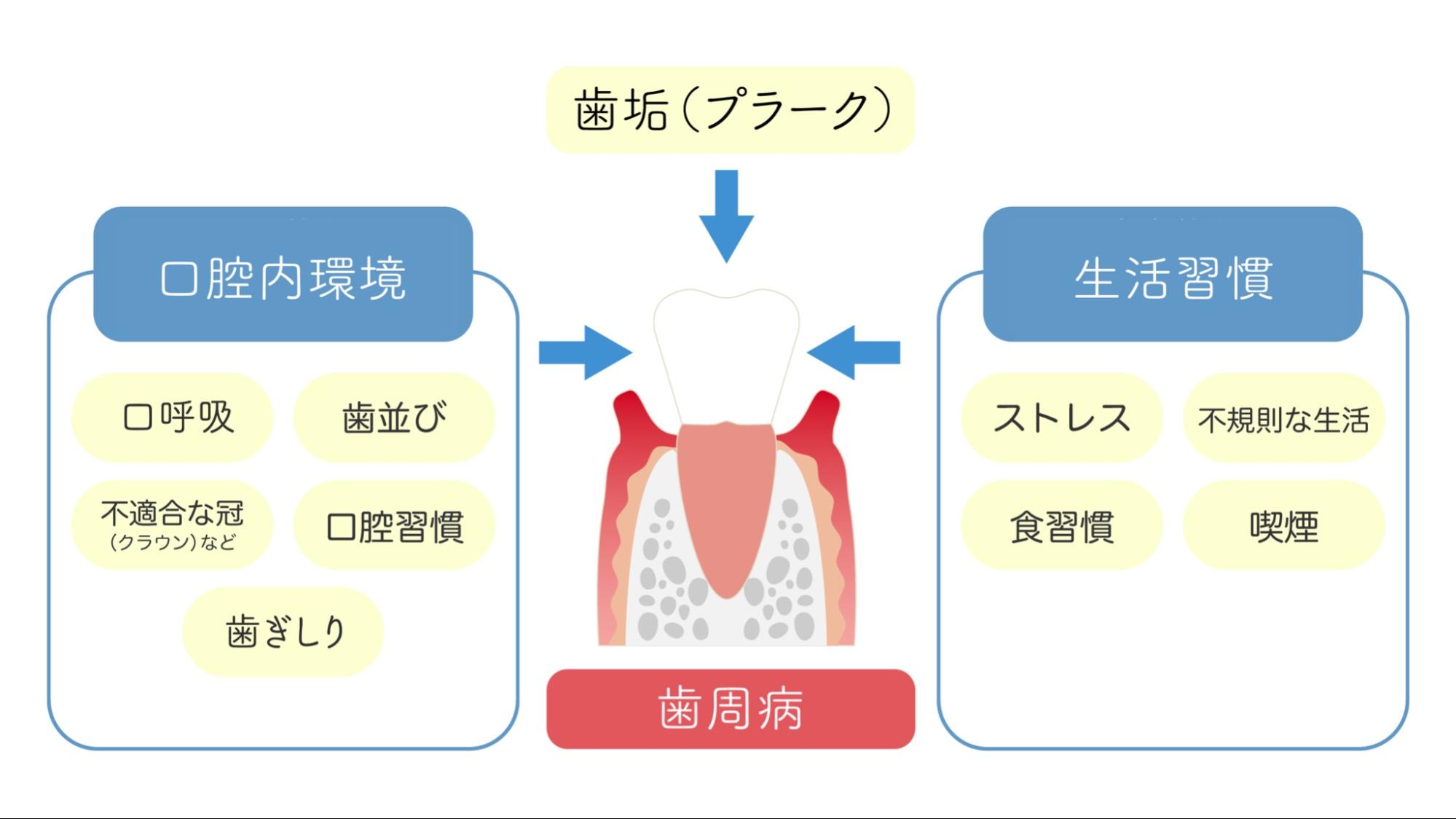 手を使わずに磨けるAmabrush - beautifulbooze.com