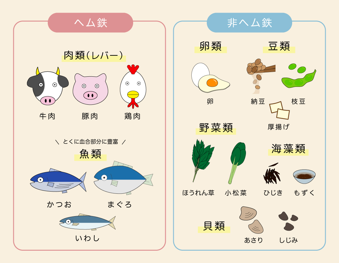 生理 