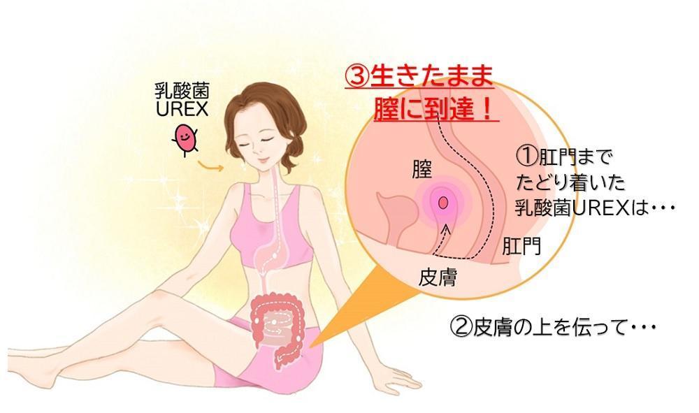 女子小学生の陰部(マンコ)画像 